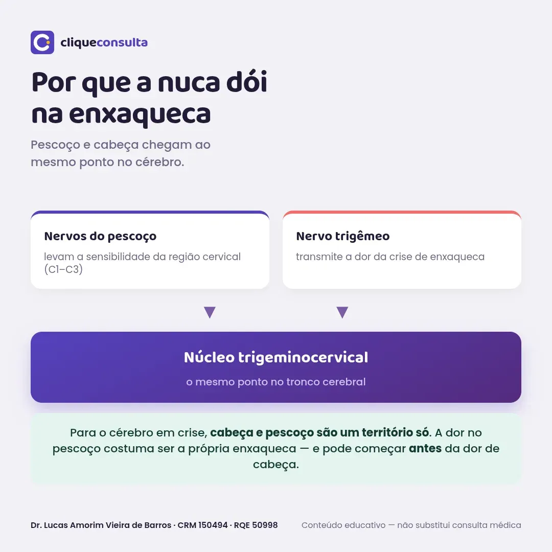 Ilustração simplificada mostrando que os nervos do pescoço e o nervo trigêmeo convergem para o mesmo ponto no tronco cerebral, explicando a dor referida na nuca durante a enxaqueca